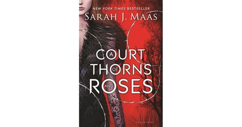 a court of thorns and roses best ya romance books of 2015 popsugar love and sex photo 23