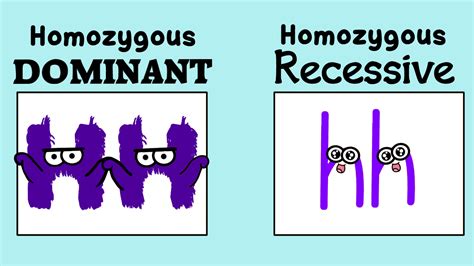 genotype  homozygous whichsj