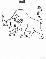 Bull Coloring Pages Printable Kids Bible Drawing Maps Book Ferdinand Getdrawings Printables Classroom Personal Church Use Popular Coloringbook sketch template