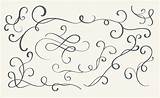 Flourish Vector Whorls Eps10 Calligraphy Decorative Illustration Vintage Set Vecteezy sketch template