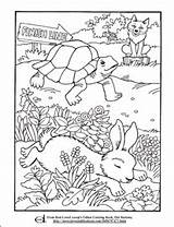Tortoise Hare Fairytale sketch template
