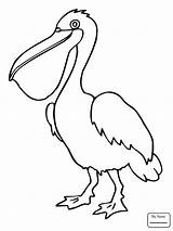 Pelican Brown Drawing Pelicans Coloring Getdrawings Pages sketch template