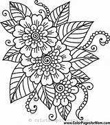 Flori Colorat Planse Desene Plante sketch template