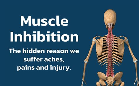 Muscle Inhibition – Find A Practitioner