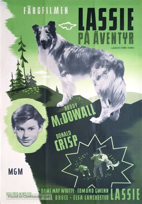 lassie come home 1943 swedish movie poster