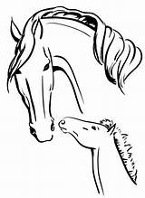 Veulen Merrie Foal Fohlen Puledro Caballo Yegua Potrillo Caballos Stute Dibujos Yeguas Siluetas Paard Schwarzweiss Silhouette Ruiter Potrillos Vektor sketch template
