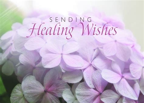 healing wishes  soft pink hydrangea card ad affiliate soft wishes healing card