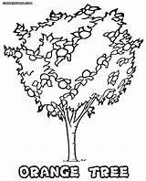 Tree Orange Coloring Pages Popular Coloringhome Search sketch template
