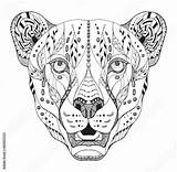 Cheetah Zentangle Mandalas Stylized Guepardo Animal Jaguar Freehand Ornate Elefantes sketch template