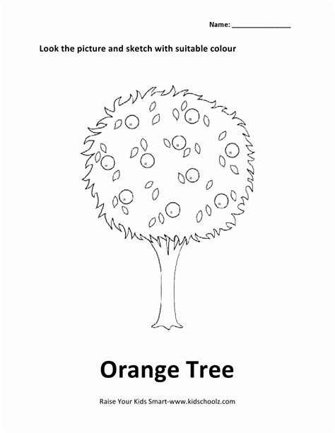 colouring worksheet orange tree coloring home