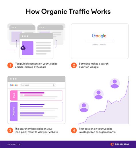 organic traffic basics     website visitors