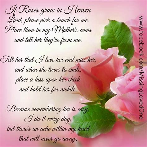 roses grow  heaven   mothers day heaven  memory happy
