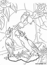 Rio Coloring Pages Ausmalbilder Birds Printables Disney Onlycoloringpages Book Sheets sketch template