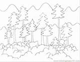 Forest Coloring Pages Kids Deciduous Trees Habitat Fire Getcolorings Kelp Getdrawings Adults Color Colorings Printable sketch template