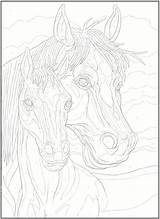 Number Color Coloring Numbers Pages Adult Horse Printable Dover Horses Books Haven Creative Publications Animal Book Print Welcome Alphabet Choose sketch template