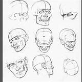Angles Drawing Loomis Head Face Getdrawings Ic sketch template