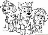 Paw Patrol Coloring Pages Template Cartoon sketch template