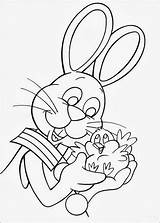 Coloring Cottontail Peter Pages Coloring4free Printable sketch template
