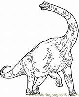 Coloring Brachiosaurus Dinosaur Pages Printable Dinosaurs Online Color Do Animals Long sketch template