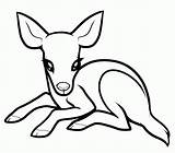 Deer Coloring Baby Drawing Pages Printable Drawings Kids Clipart Easy Cute Animals Draw Color Cartoon Animal Sketch Mule Popular Clipartpanda sketch template