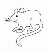 Szczur Kolorowanki sketch template