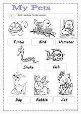 Pets Worksheet Worksheets Esl Printable Printables Kindergarten Preschool Theme Islcollective Source sketch template