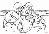 Coloring Moana Tamatoa Crab Pages Coconut Printable Drawing sketch template