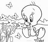Tweety Coloring Bird Pages Printable Kids Flowers Cool2bkids Baby Print Cartoon Disney Cute Everfreecoloring Choose Board sketch template