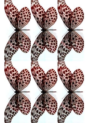 butterfly pattern butterfly template butterfly pattern textile prints