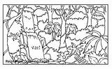 Coloring Pages Tropical Rainforest Drawing Jungle Scene Trees Print Getdrawings Getcolorings Personal Use Printable Paintingvalley Colorings Forest sketch template