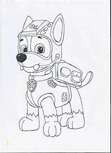 Everest Patrol Paw Coloring Pages Divyajanani sketch template
