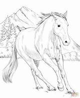 Coloring Paint Horse Pages American Printable Supercoloring Kids Horses Adult Print Cool Colouring Books Etsy Beautiful Drawings Choose Board Animal sketch template