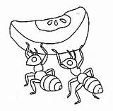 Ant Coloring Pages Ants Colouring Clipart Cartoon Cute Color Printable Plain Kids Apple Drawing Printables Da Marching Cliparts Con Clip sketch template
