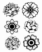 Marigold Coloring Flowers Flower Pages Printable Drawing Rose Sweeps4bloggers Adult Colouring Kids Color Stencils Silhouette Sheets Pattern Sketch Svg Patterns sketch template