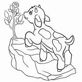 Leuke Kleurende Goatling Landbouwbedrijf Weinig Toucan Leguaan Zit Rots Illustratie Flower sketch template
