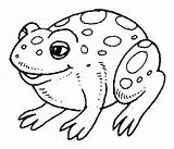 Coloring Toad Frog Pages Kids sketch template