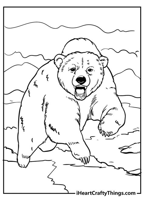 bear coloring pages   printables