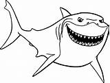 Shark Drawing Nemo Finding Coloring Head Pages Bruce Disney Choose Board Printable Paintingvalley sketch template