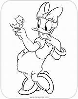Coloring Disneyclips Donald sketch template