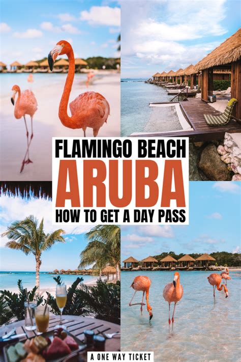 renaissance island day pass flamingo beach aruba    ticket