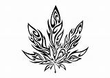 Pot Tribal Trippy Maconha Pixy Getdrawings Stencils Marihuana Artes Tattoosforyou Clipartbest Weeds 40kb Upicsz Finger Maori sketch template