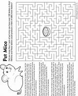 Mouse Pet Maze Coloring Fact Activities Pages Hamster Gerbil Color Makingfriends sketch template