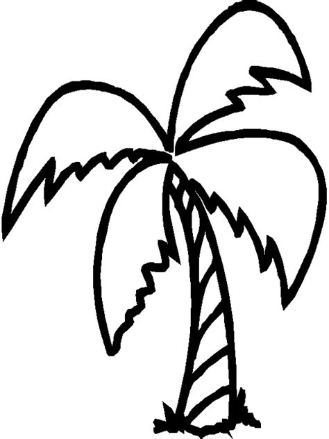 palm tree coloring pages  kids