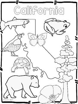 usa state symbols coloring sheets  teachers clipart tpt