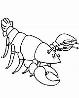 Coloring Crayfish Pages Sheet Topcoloringpages Printable Print Animals sketch template
