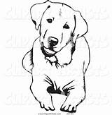 Labrador Dog Retriever Drawing Golden Coloring Pages Clipart Chocolate Lab Down Silhouette Outline Cute Puppy Drawings Svg Vector Line Lying sketch template