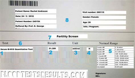 read hcg blood test results blood test results explained