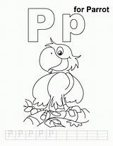 Coloring Parrot Letter Practice Pages Handwriting Kids Alphabet Colouring Worksheet Pp Preschool Printable Bestcoloringpages Sheets Color Library Clipart Popular Coloringhome sketch template