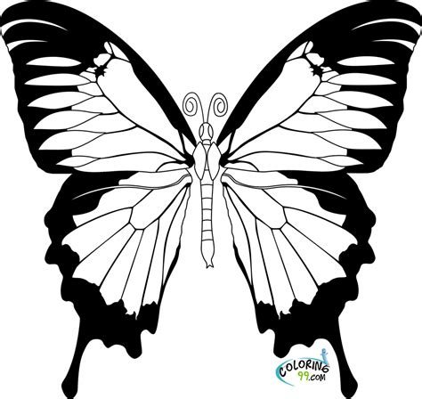 coloring pages butterflies  images coloring design