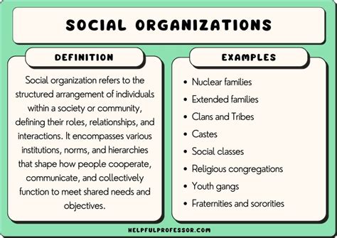 social organization examples